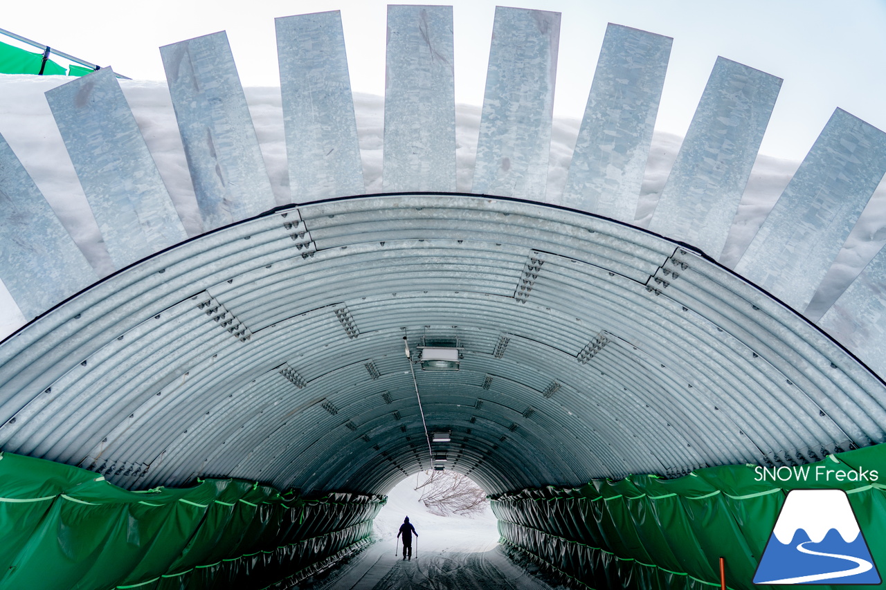 キロロリゾート｜いよいよ「ハイシーズン」は明日が最終日…。週明け4月6日からは「春シーズン」開幕でリフト料金がプライスダウン。まだまだ春も滑りましょう♪